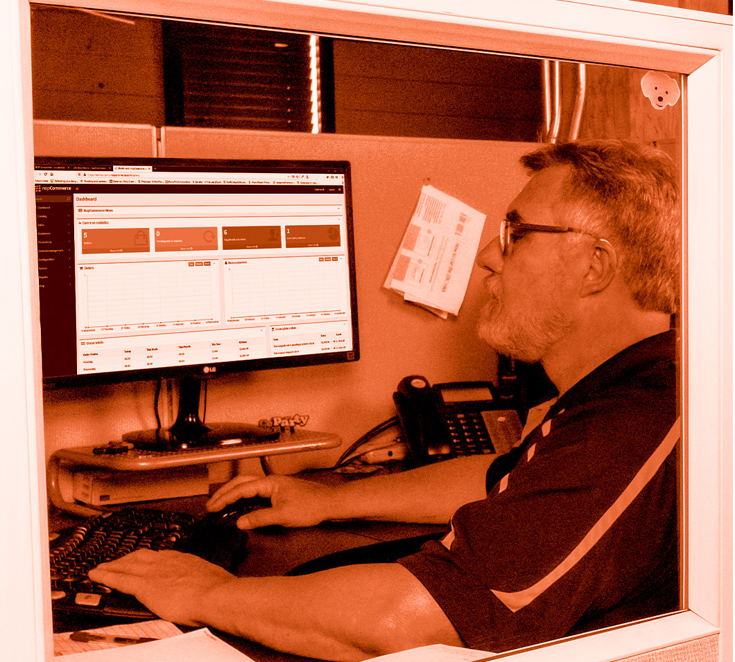 nopCommerce Development