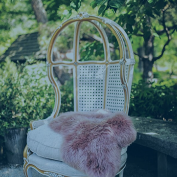 Kollective Specialty Rental