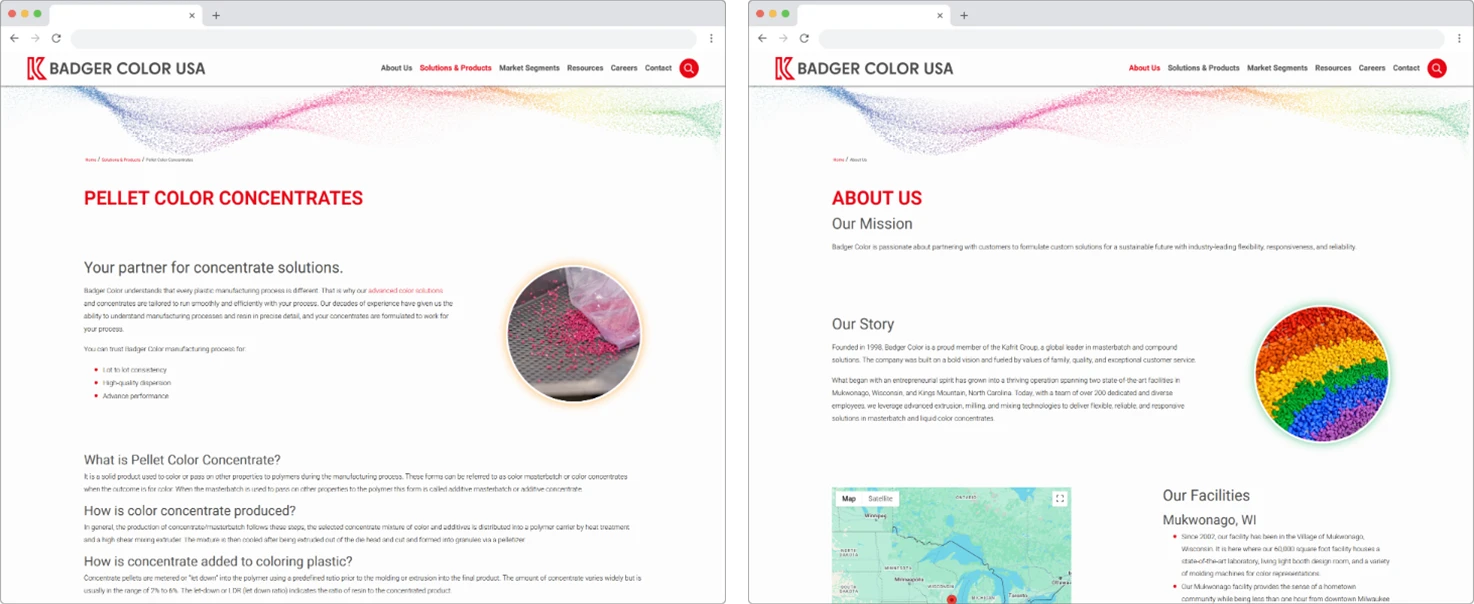 Badger Color interior page