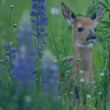 Rock County Tourism Council