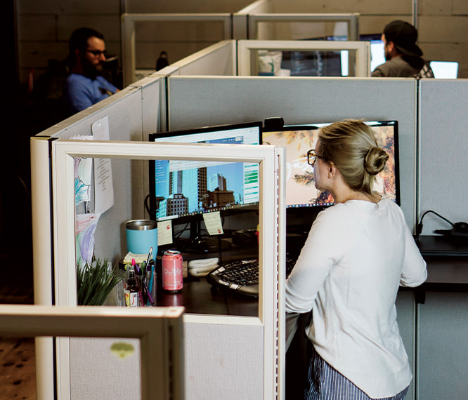 WordPress Development that is Never Outsourced