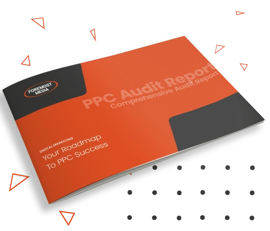 PPC Audit