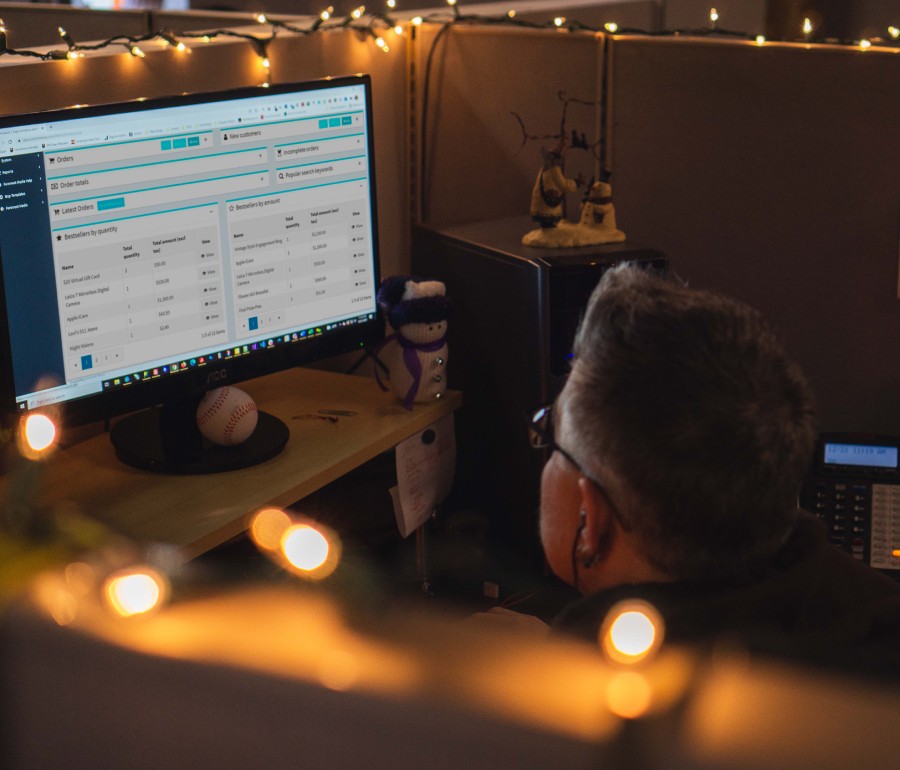 NopCommerce Professional