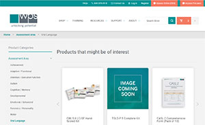 Screen shot of WPS Nop Com Website